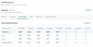 What is the FII holding in JSW Energy?