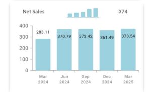 borosil renewables q4 results revenue up losses down