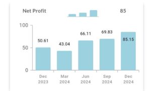 KPI Green Energy NET Profit 2025