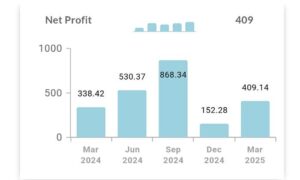 What was the net profit of the company in JSW Energy Q4 Result 2025?