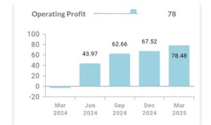 Websol Energy Q4 Results 2025 Websol Energy Company's operating profit also turned from loss to profit