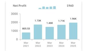 Last 5 year NET profit graph JSW Energy