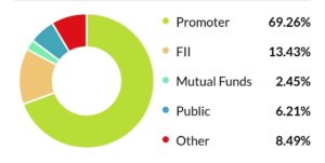 JSW Energy shareholding pattern graph