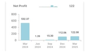 ACME Solar Holdings NET Profit in Q4 FY25
