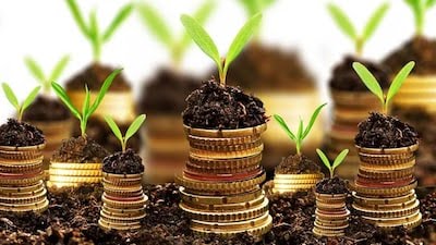 jsw energy allots 250 crore worth of ncds via private placement